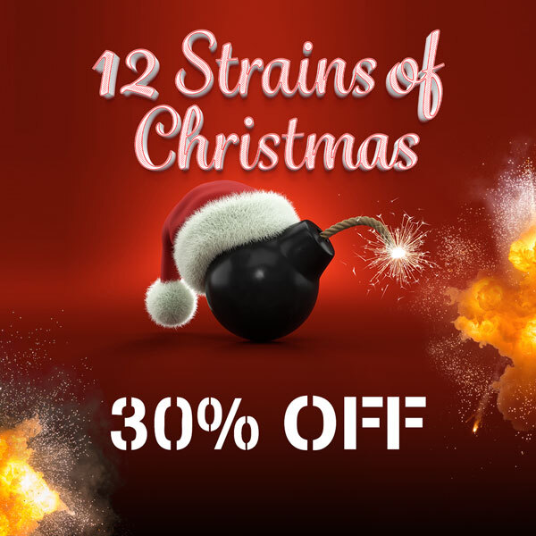 Xmas Sale