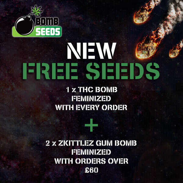 New Free Seeds